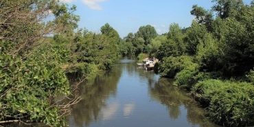 isbeykoz-da-iski-ye-tepki-dereye-yine-zehir-akitiliy_6170-4