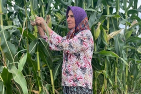 isbeykoz-da-kadin-ciftci-sayisi-yuzde-120-artti_8171