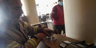 isbeykoz-da-kedi-kurtarma-operasyonu_4112-1