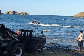 isbeykoz-da-kiyiya-vuran-olu-hayvanlara-iliskin-acik_6444-4