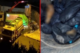 isbeykoz-da-korkunc-olay-copte-bulundular_2725-4