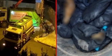 isbeykoz-da-korkunc-olay-copte-bulundular_2725-4