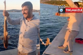 isbeykoz-da-oltaya-takilan-kopek-baligi-2-milyon-izl_7124-4