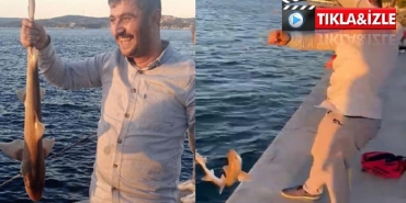 isbeykoz-da-oltaya-takilan-kopek-baligi-2-milyon-izl_7124-4