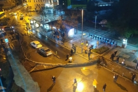 isbeykoz-da-siddetli-lodos-tarihi-cinari-devirdi_7122-1