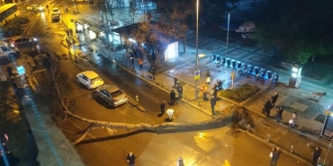 isbeykoz-da-siddetli-lodos-tarihi-cinari-devirdi_7122-1