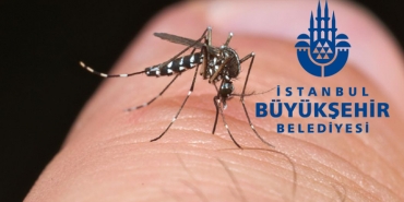 isbeykoz-da-sivrisinek-artti-ibb-ekipleri-artmadi_7110-1