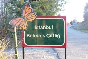 isbeykoz-da-su-baskinlarinin-sebebi-kelebek-ciftligi_8493-1