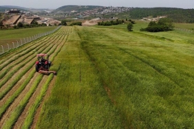 isbeykoz-da-tarla-fiyatlari-ucusa-gecti_9095-4