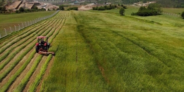 isbeykoz-da-tarla-fiyatlari-ucusa-gecti_9095-4