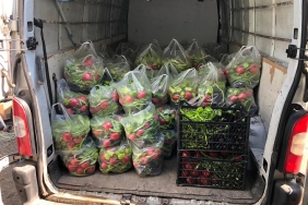 isbeykoz-da-topraga-bereket-ekonomiye-hareket-geldi_8312-1