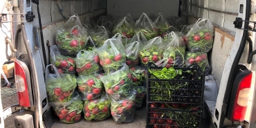 isbeykoz-da-topraga-bereket-ekonomiye-hareket-geldi_8312-1