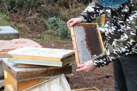 isbeykoz-da-urettigi-bal-siparislerine-yetisemiyor_5476-1