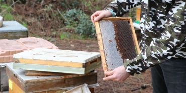 isbeykoz-da-urettigi-bal-siparislerine-yetisemiyor_5476-1