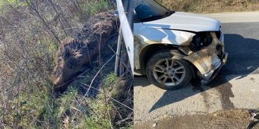 isbeykoz-da-yola-atlayan-domuz-kazaya-neden-oldu-100_9915-1