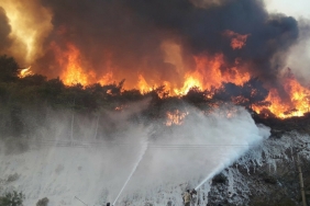 isbeykoz-dan-12-bin-adet-fidan-bagisi_2945-1