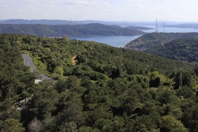 isbeykoz-ormanlarina-giris-yasagi-uzatildi_5506-1