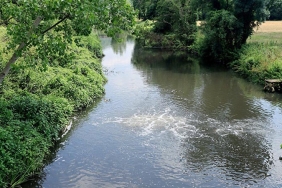 isbeykoz-riva-nin-kirliligi-mahalleliyi-biktirdi_5852-4