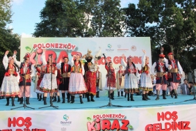 isbeykoz-u-festival-havasi-sardi-kiraz-bahane-kardes_1520-4