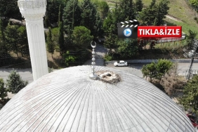 isbeykoz-un-6-yildir-degismeyen-misafirleri-_3545-1