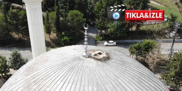 isbeykoz-un-6-yildir-degismeyen-misafirleri-_3545-1