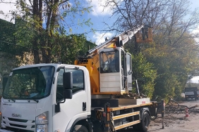 isbeykoz-un-agaclarina-can-verecek-calismalar-baslad_2166-1