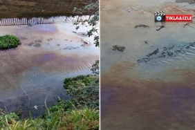 isbeykoz-un-deresine-petrol-mu-dokuldu_9085-4