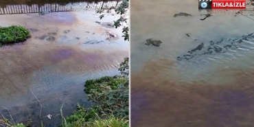 isbeykoz-un-deresine-petrol-mu-dokuldu_9085-4