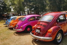 isen-cici-vosvos-lar-beykoz-da-bulustu_4773-1