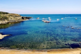 isilk-musilaj-arastirmasi-beykoz-aciklarinda-yapildi_6898-1