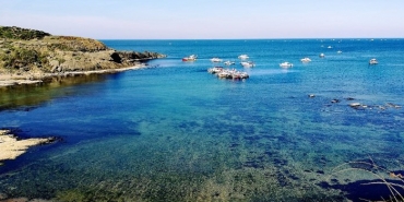 isilk-musilaj-arastirmasi-beykoz-aciklarinda-yapildi_6898-1