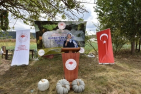 isistanbul-un-kabak-uretiminin-yarisini-beykoz-karsi_9093-1