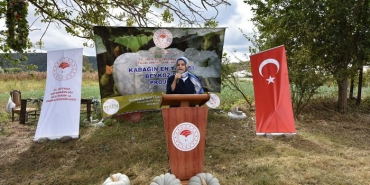 isistanbul-un-kabak-uretiminin-yarisini-beykoz-karsi_9093-1