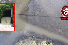 iski-nin-beykoz-riva-deresine-zehir-akittigi-ortay_1156-1