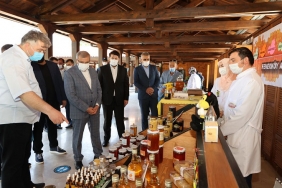 isorganik-ve-taze-urunlerin-satilacagi-beykoz-koy-pa_8694-1