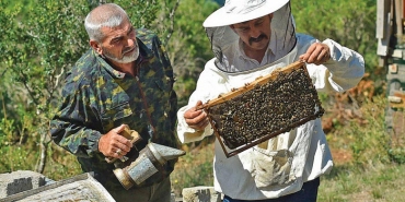 issadece-beykoz-da-yetisiyor-sofralari-ballandiriyor_4921-4