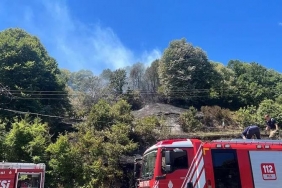 isson-dakika-beykoz-da-orman-yangini-cikti-10712-htm_8251-4