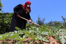 istanbul-bu-yil-beykoz-karpuzu-yiyecek-_4914-1