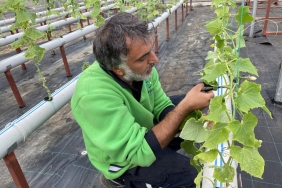 isturkiye-de-bir-ilk-beykoz-da-balik-gubresiyle-topr_8444-1