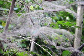 isvatandaslar-isyanda-beykoz-da-yeniden-tirtil-istil_3241-4