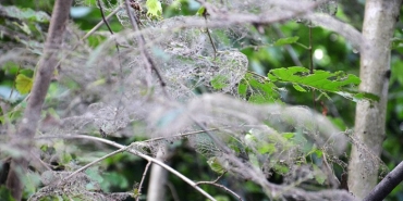 isvatandaslar-isyanda-beykoz-da-yeniden-tirtil-istil_3241-4