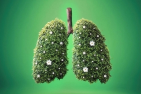 isyesilay-cemiyeti-beykoz-u-sigarasiz-yasama-davet-e_7591-1