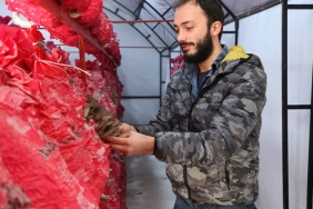 kariyerini-birakti-beykoz-da-uretimine-basladi_5221-1