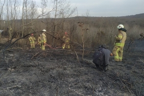 maganda-kursunlari-beykoz-da-ormani-yakti-_9892-1
