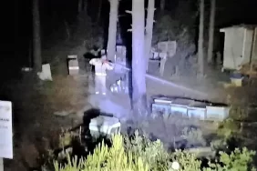 Beykoz’da ormanlık alanda faciadan dönüldü!