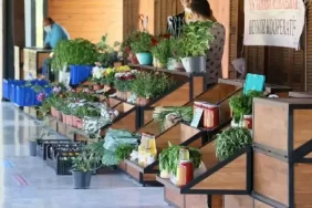 Beykoz Ot Festivali başlıyor!