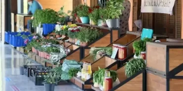 Beykoz Ot Festivali başlıyor!