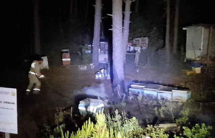 Beykoz’da ormanlık alanda faciadan dönüldü!