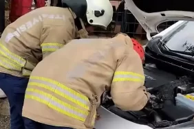 Beykoz’da ekiplerin kedi ile imtihanı