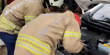 Beykoz’da ekiplerin kedi ile imtihanı